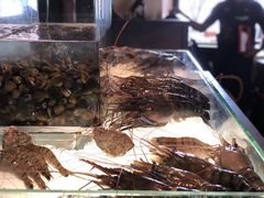 -Ministry of Crab(科伦坡店)