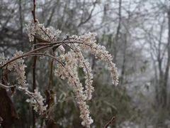 -西岭雪山大飞水景区