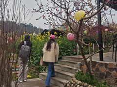 -桃源山庄·水蜜桃采摘·柴火鸡·烧烤团建(龙泉山店)