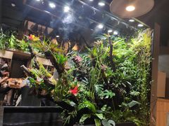-森味薪火烧•烧鸟居酒屋•日本料理(望京店)