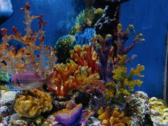 -多彩贵州城极地海洋世界