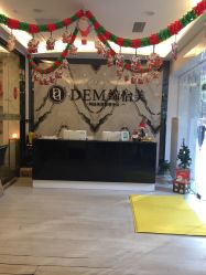 -DEM缔怡美科技美容