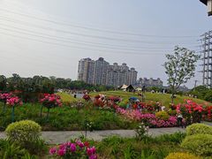 -金银湖国家城市湿地公园