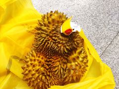 -永辉超市(双元大道店)