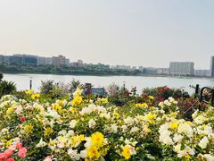 -立新湖公园