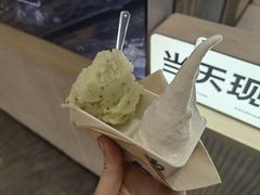 -野人先生现做冰淇淋(西安赛格店)