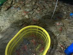 -鸿港海鲜批发市场