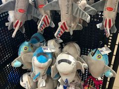 -奥黑尔国际机场