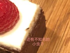 甜品台-长沙君悦酒店·自助餐厅咖啡厅
