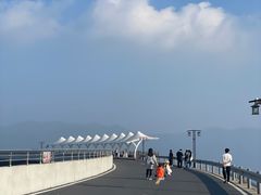 -江南天池