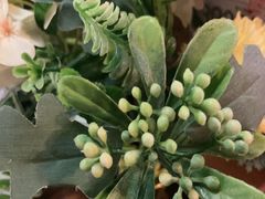 -老平安农家菜(平安店)