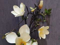 -水润江南尊尚养生馆(城南东路店)