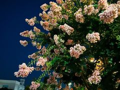 -横滨红砖仓库1号馆