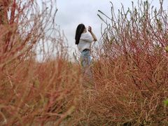 -映月湖中央公园