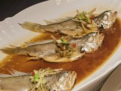 -荷风细雨·中国茶宴(碧云店)