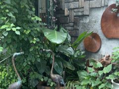 -慢丽江·云南野生菌土鸡锅(付家庄店)