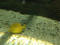-北戴河圣蓝海洋公园