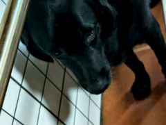 -太原面食店(解放路店)