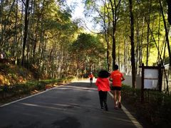 -石燕湖生态旅游景区