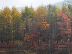-本溪老边沟风景区