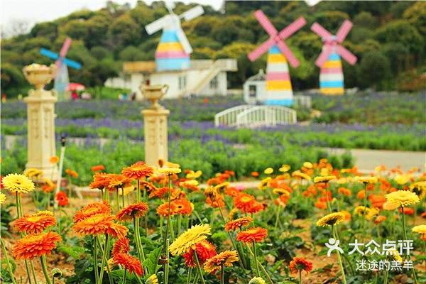 迷途的羔羊 2021年4月27日 关注 花海里的农家乐@梦幻百花洲#团建活动