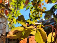 -伊隆斋(什刹海店)