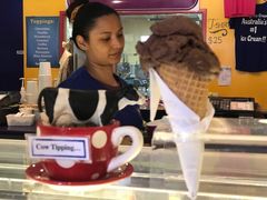 -Dooley's Premium Ice Cream