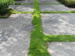 -中旅阿那亚九龙湖·公主酒店