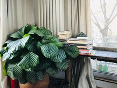 -荒度咖啡(北九水店)