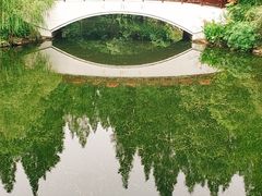 -东平国家森林公园