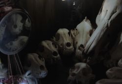 -白泽刺青纹身