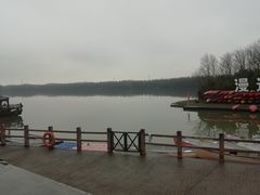 -上海海湾国家森林公园