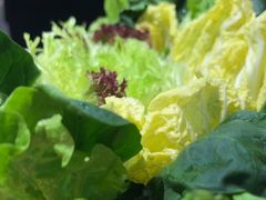 -额尔敦草原涮羊肉·烧烤(冻青树总店)