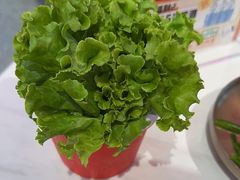 -南浦洞烤肉·新世界版(奥体店)