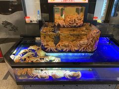 -蟹道乐(道顿堀本店)