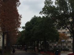 -上海财经大学(国定路校区)