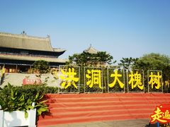 -大槐树寻根祭祖园