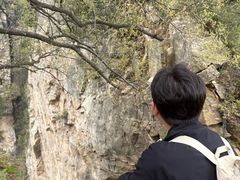 -少华山国家森林公园