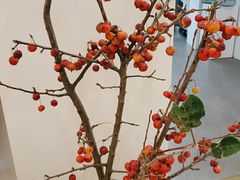 -花点时间(蓝色港湾店)