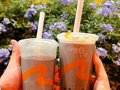 -CoCo都可(北新桥店)