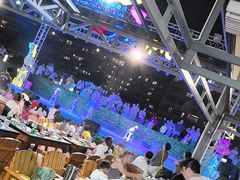 -渔家火锅·海鲜自助餐·演艺(亚龙湾天域酒店)