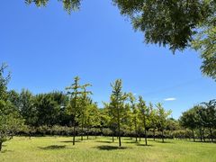 -北京西山国家森林公园