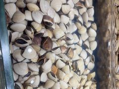 -亚马逊海鲜自助(梅溪湖步步高店)