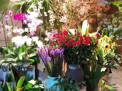 -春暖花开(西溪店)