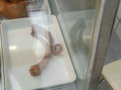 猪尾巴-北门曹记不老鸡不老鸭(星悦广场店)