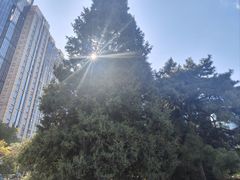 -银座mall(东直门店)