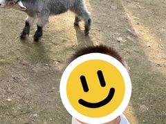 -林间山庄