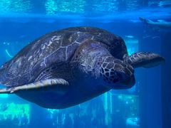 -成都浩海立方海洋公园