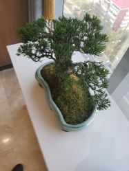 -北京米扬丽格医疗美容·联合丽格鼻整形中心