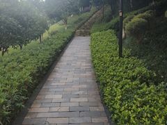 -龙头寺公园